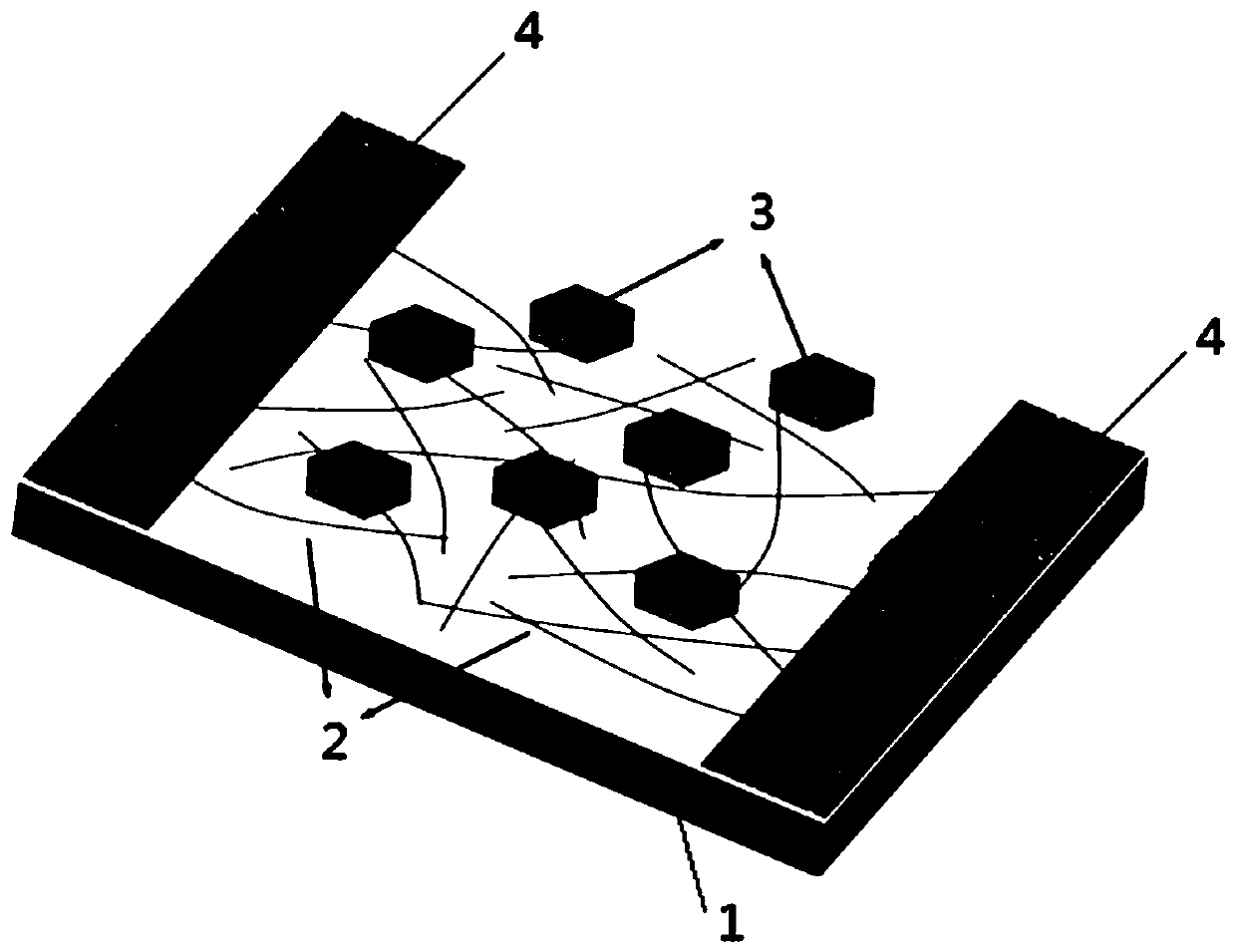 A high-performance optoelectronic device based on carbon nanotube/graphene Schottky junction