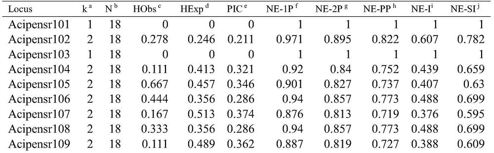 A set of sturgeon SNP molecular markers, evaluation methods for sturgeon seed production and genetic evaluation methods