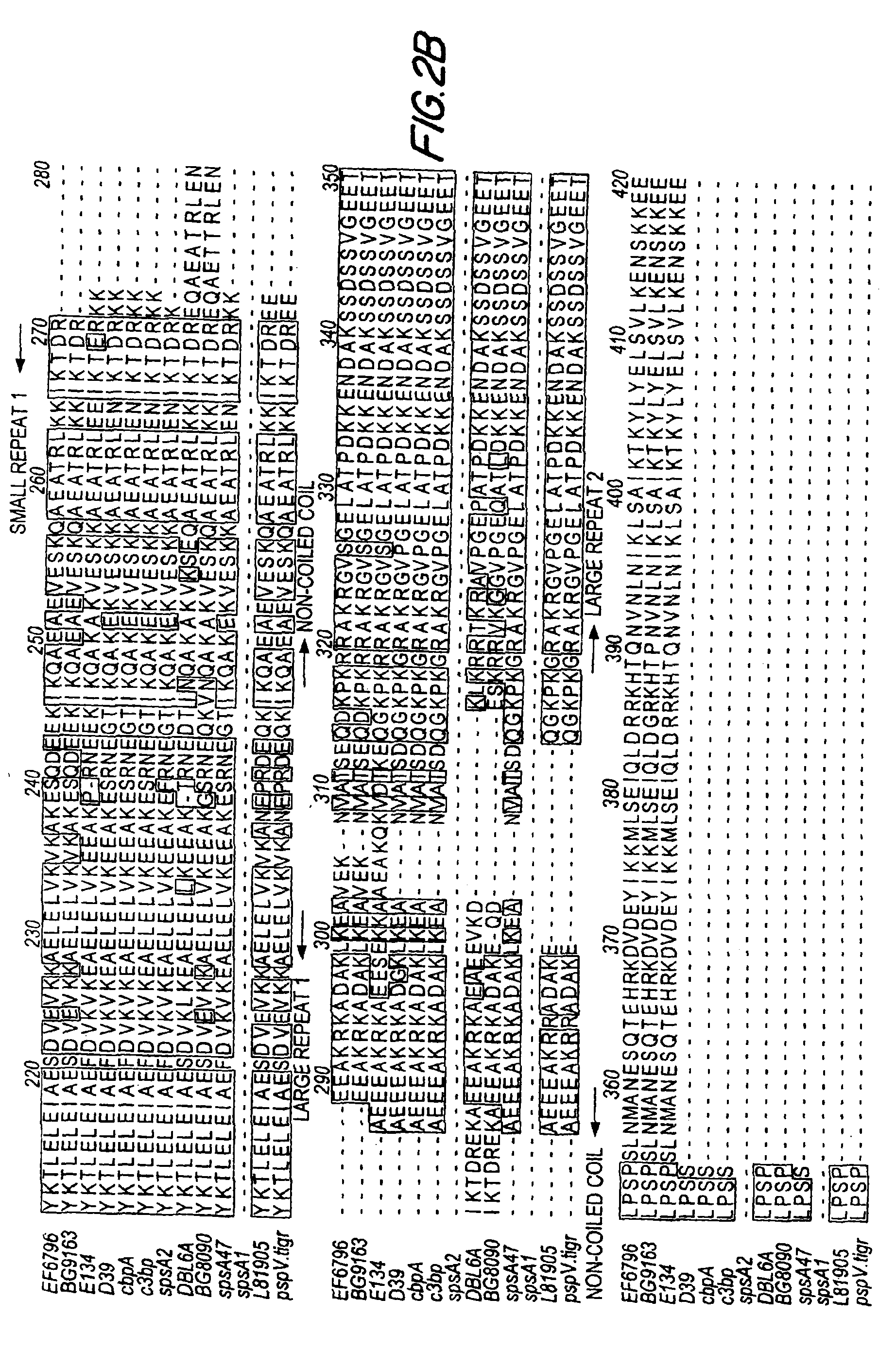 Pneumococcal surface protein C (PspC), epitopic regions and strain selection thereof, and uses therefor