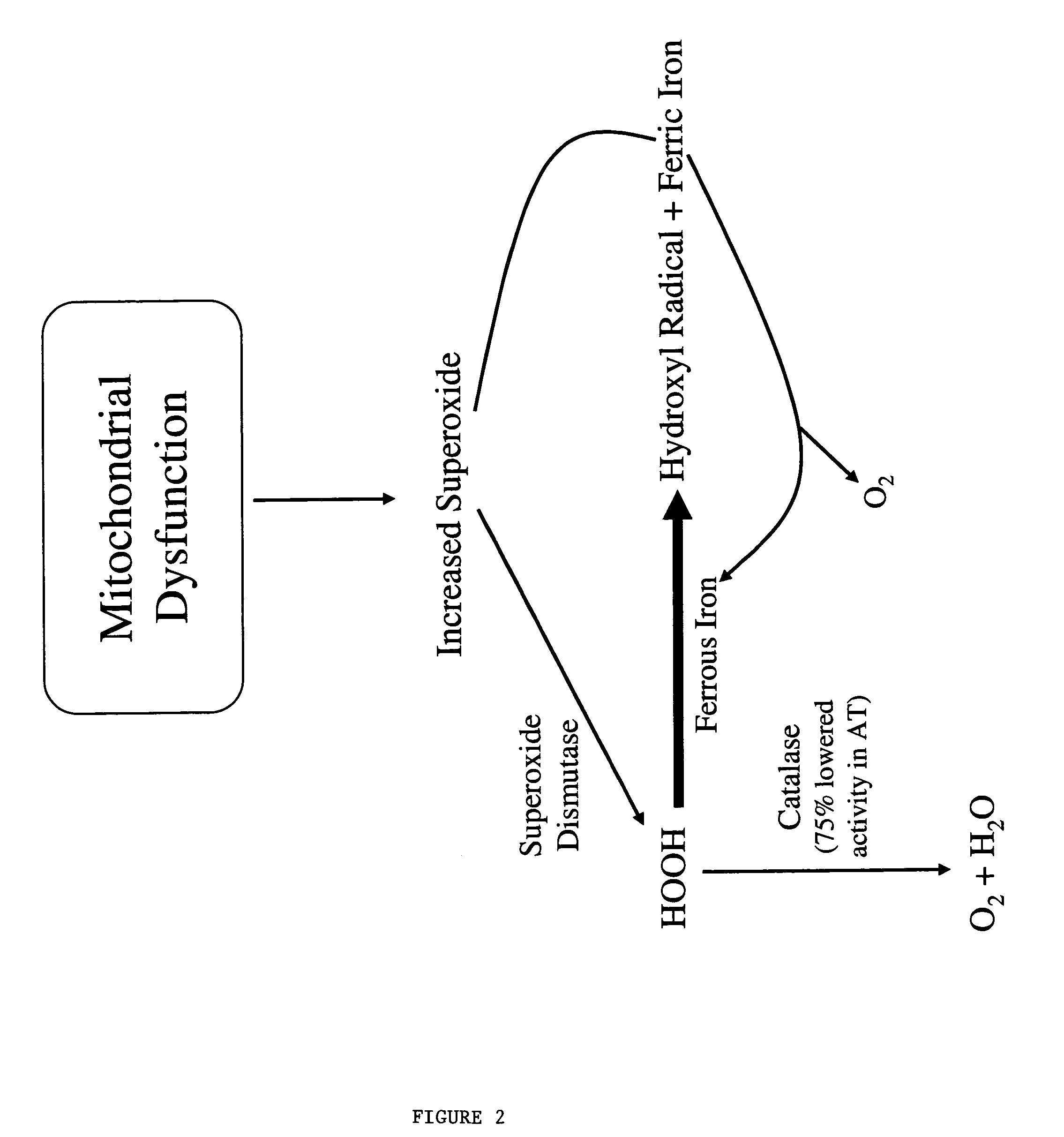Methods and compositions for treatment of ataxia-telangeictasia