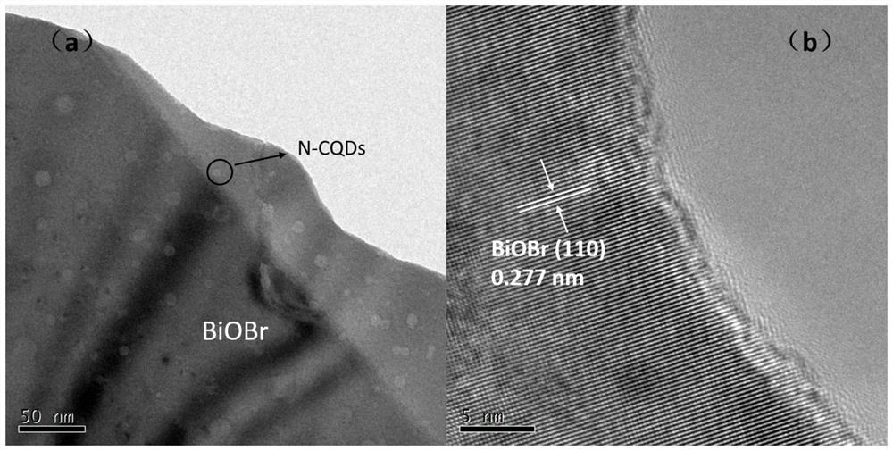 Composite photocatalyst for producing hydrogen peroxide and its preparation method and application