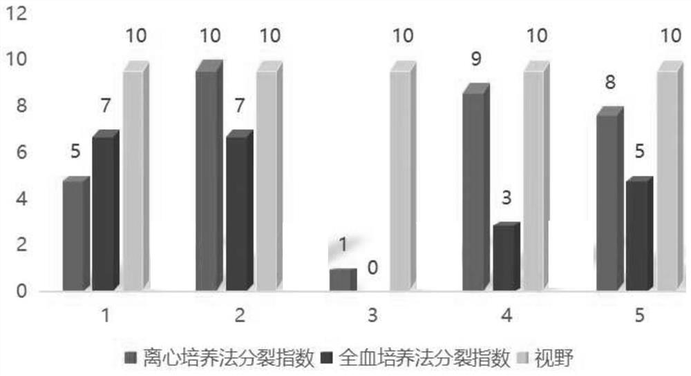 Culture method of bone marrow cells and application of culture method