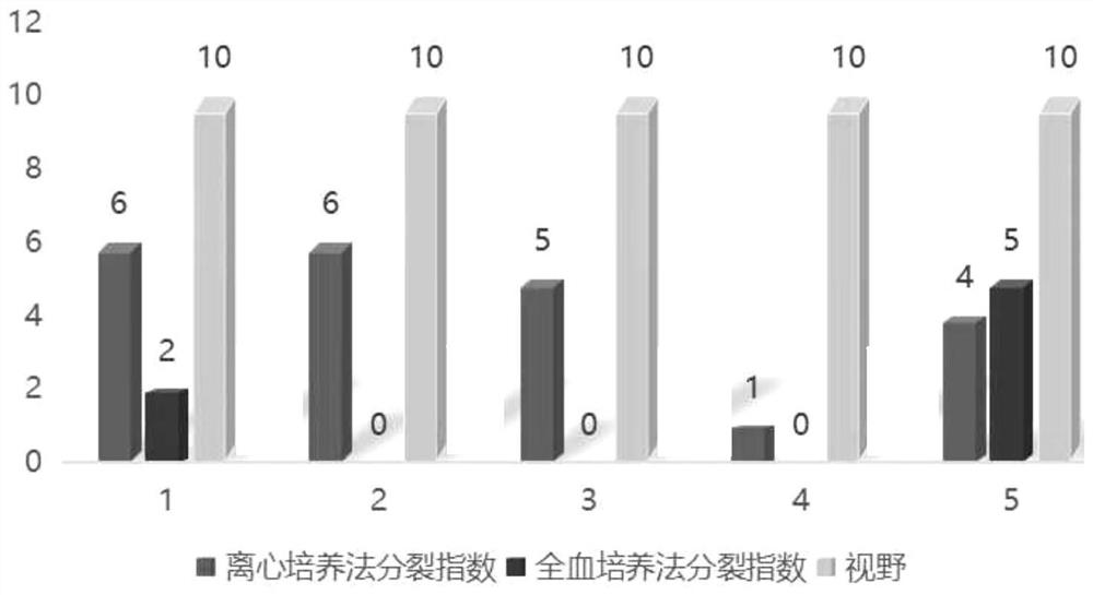 Culture method of bone marrow cells and application of culture method