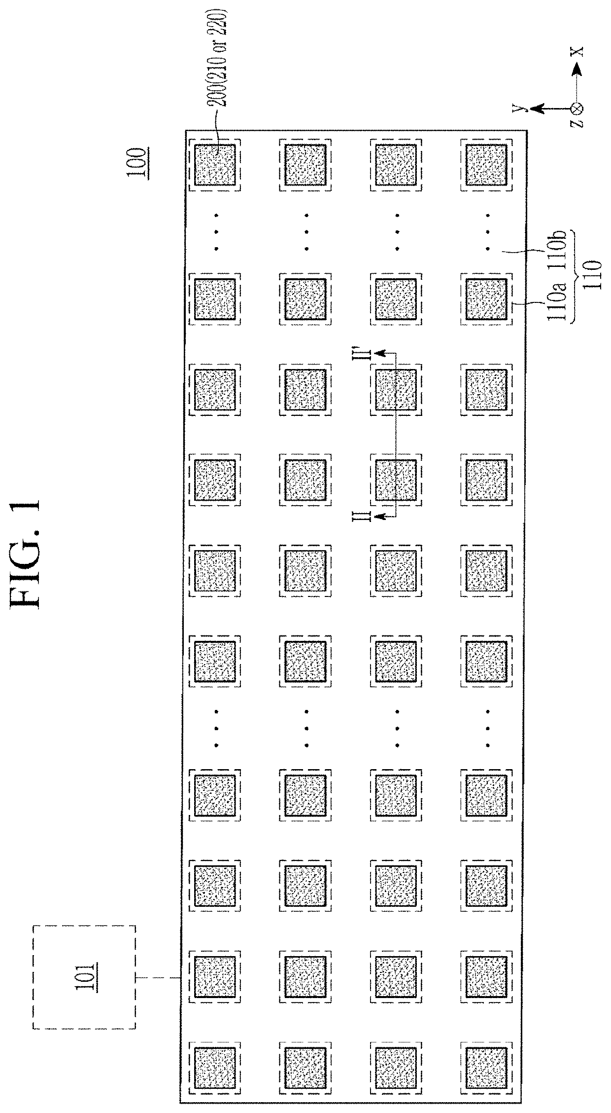 Bio imaging system and bio imaging method