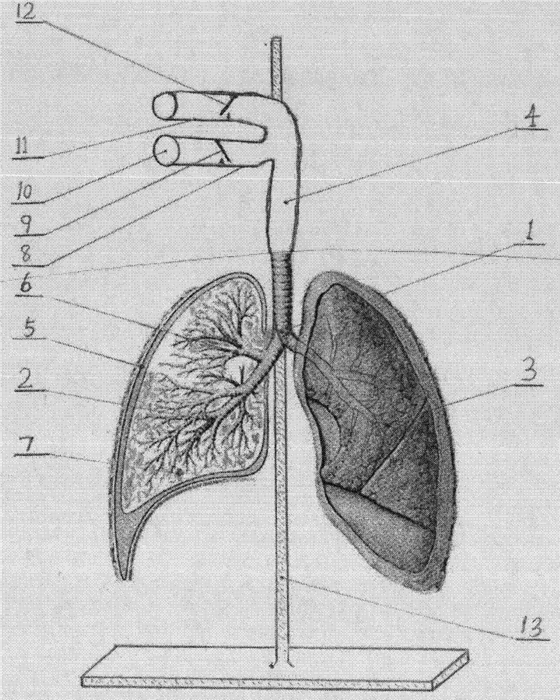 Device for demonstrating harm of smoking to health and manufacturing method thereof