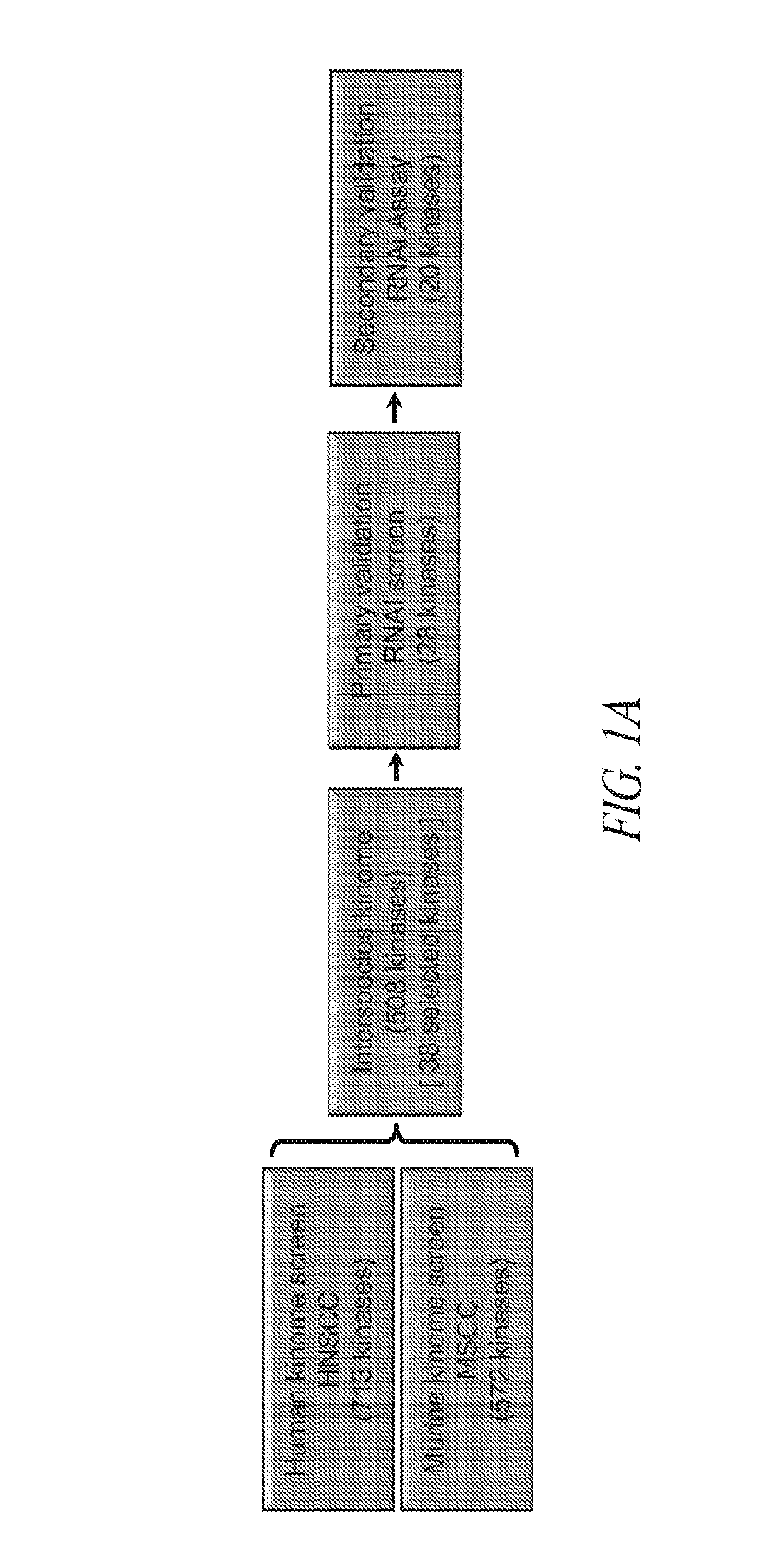 Methods for identifying therapeutic targets and treating monitoring cancers