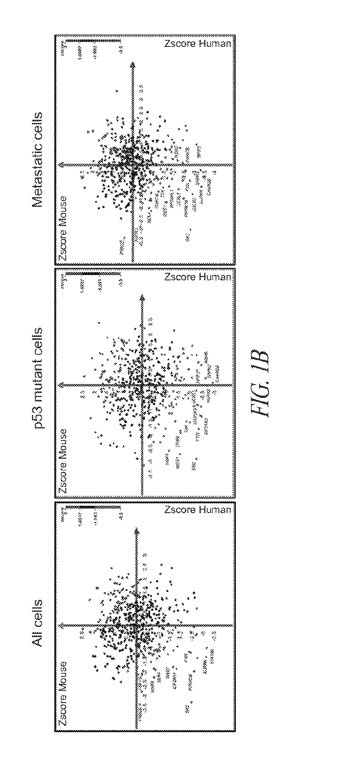Methods for identifying therapeutic targets and treating monitoring cancers
