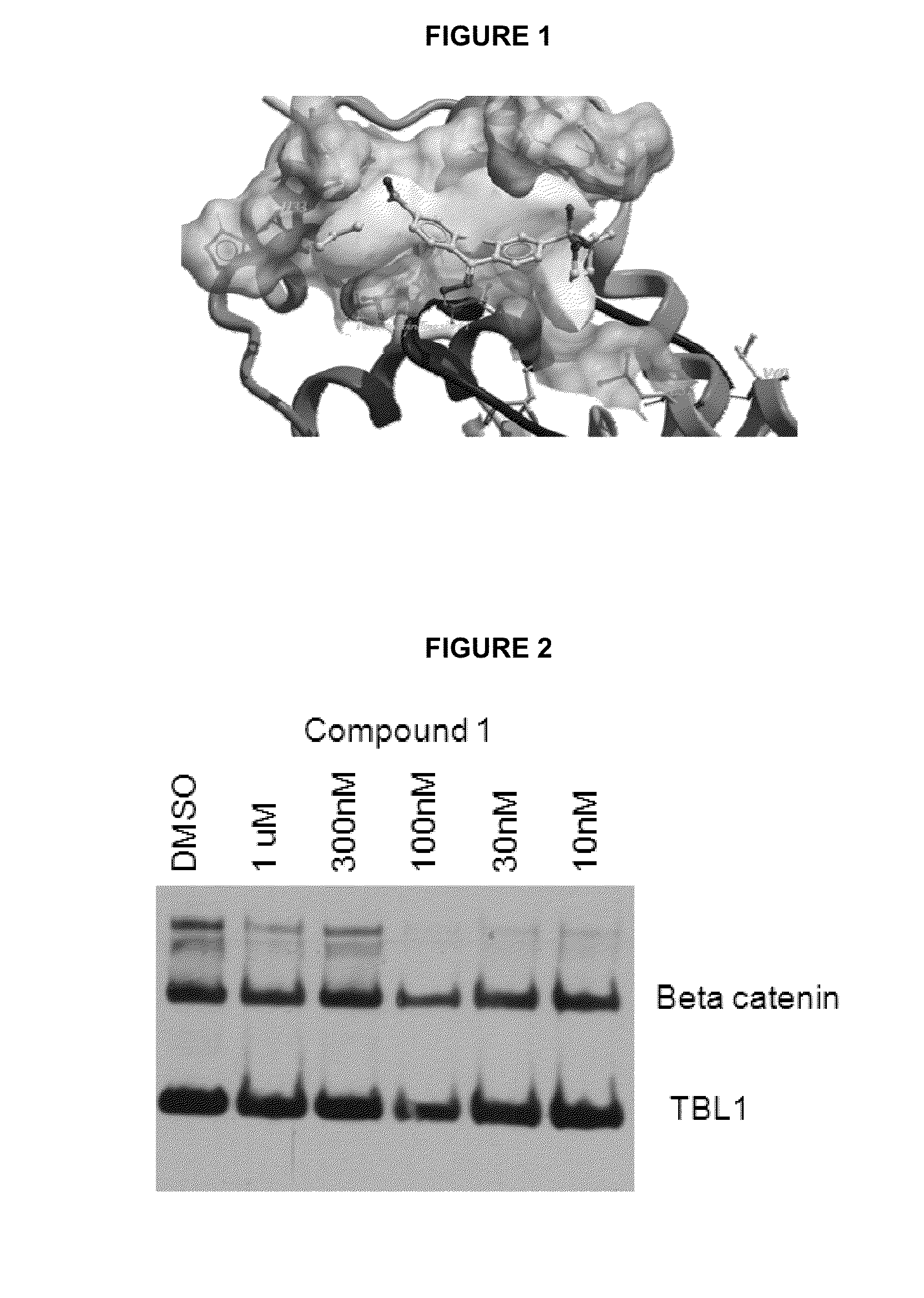 Compositions and Methods for Inhibition of TBL-1 Binding to Disease-Associated Molecules