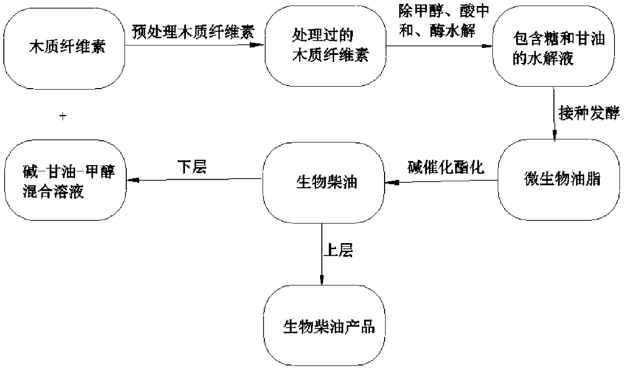 A kind of method utilizing lignocellulosic raw material to produce biodiesel