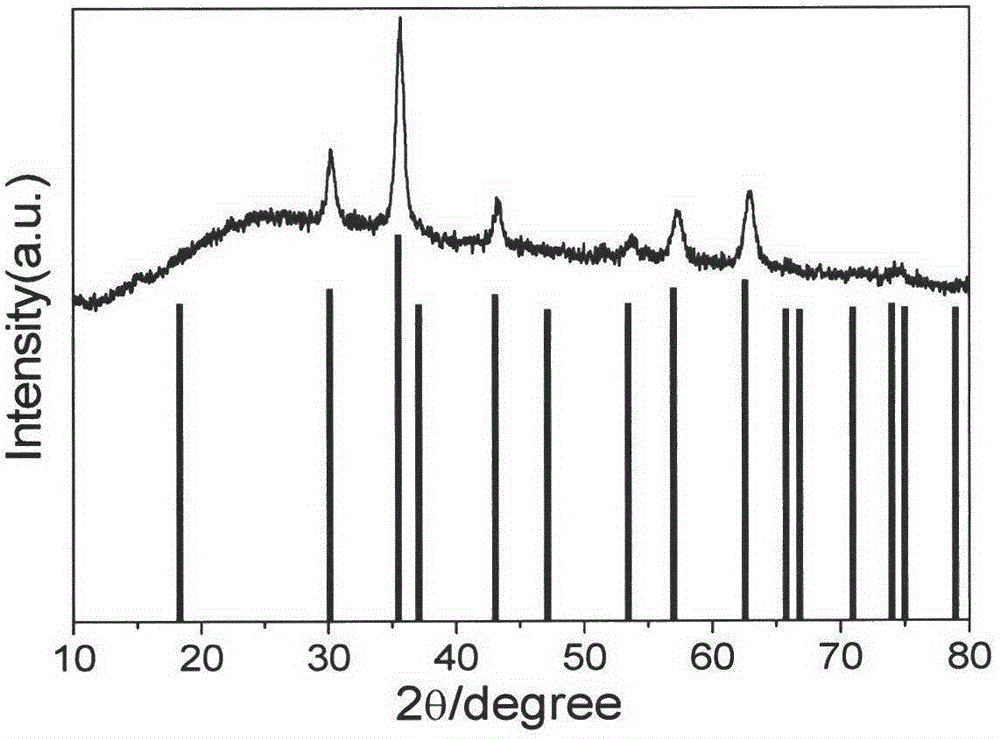 Preparation method and application of superparamagnetic Fe3O4 nano material