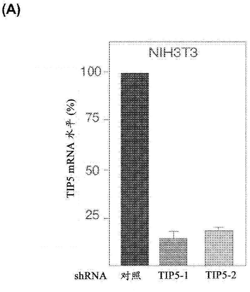 Improved cell lines having reduced expression of NOCR and use thereof