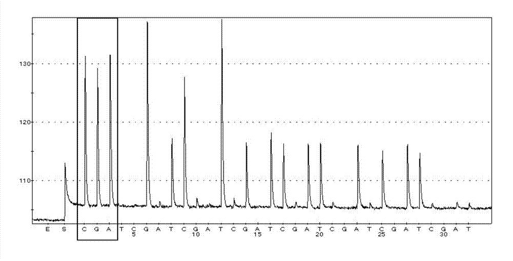 Primer and kit for detecting NQO1 gene polymorphism, and application of primer and kit on pathological examination