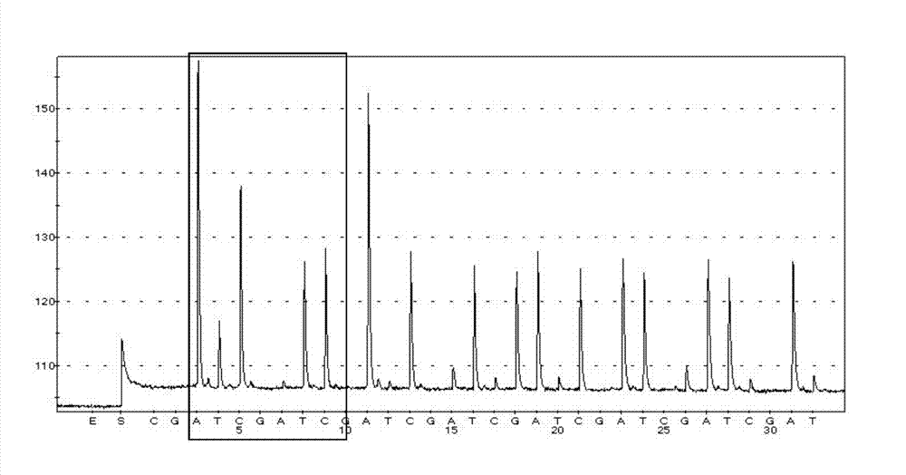 Primer and kit for detecting NQO1 gene polymorphism, and application of primer and kit on pathological examination