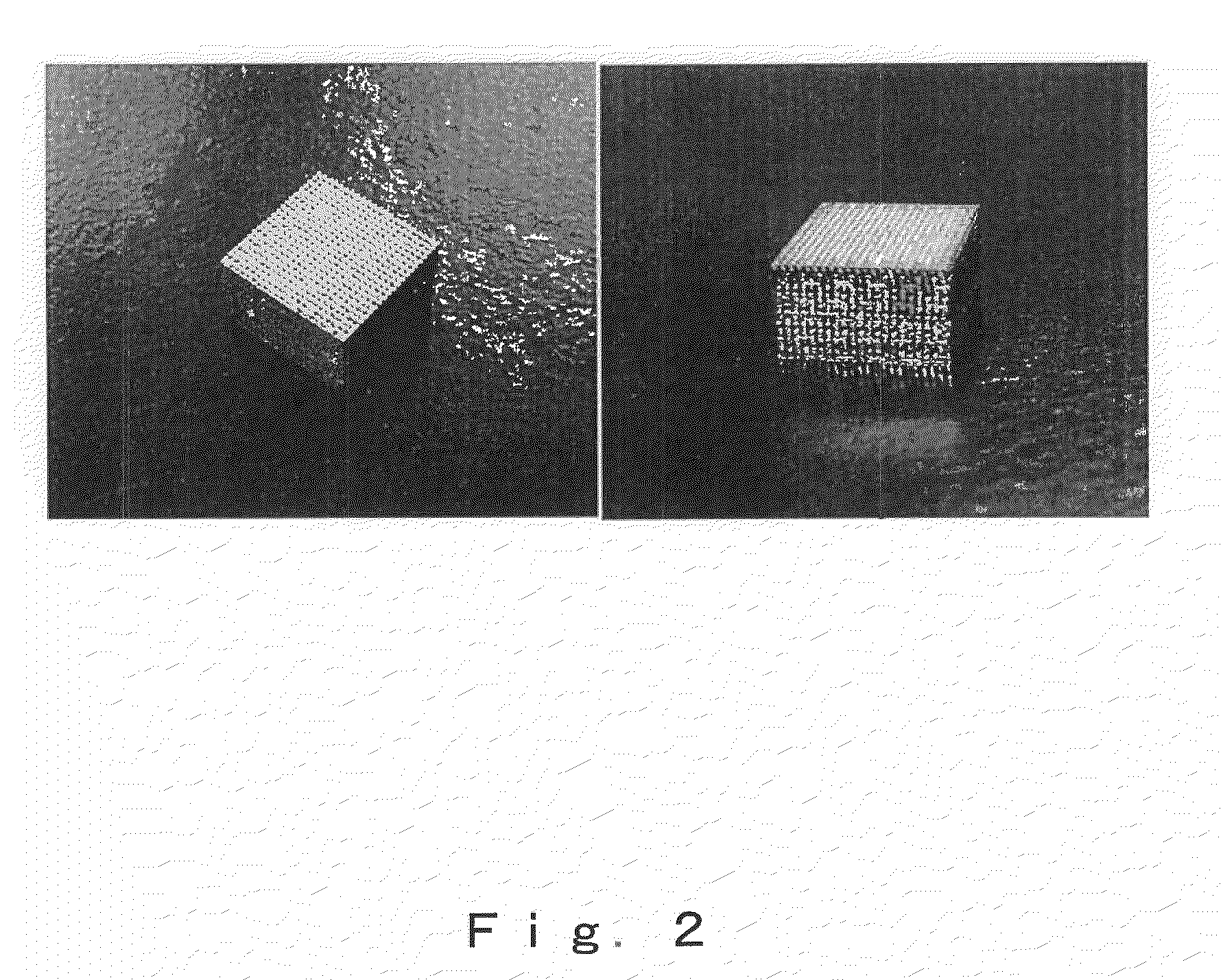 Biomaterial, method of constructing the same and use thereof