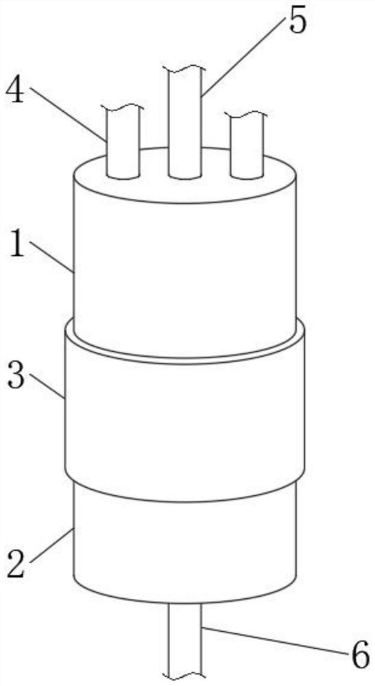 Rust remover and preparation method thereof