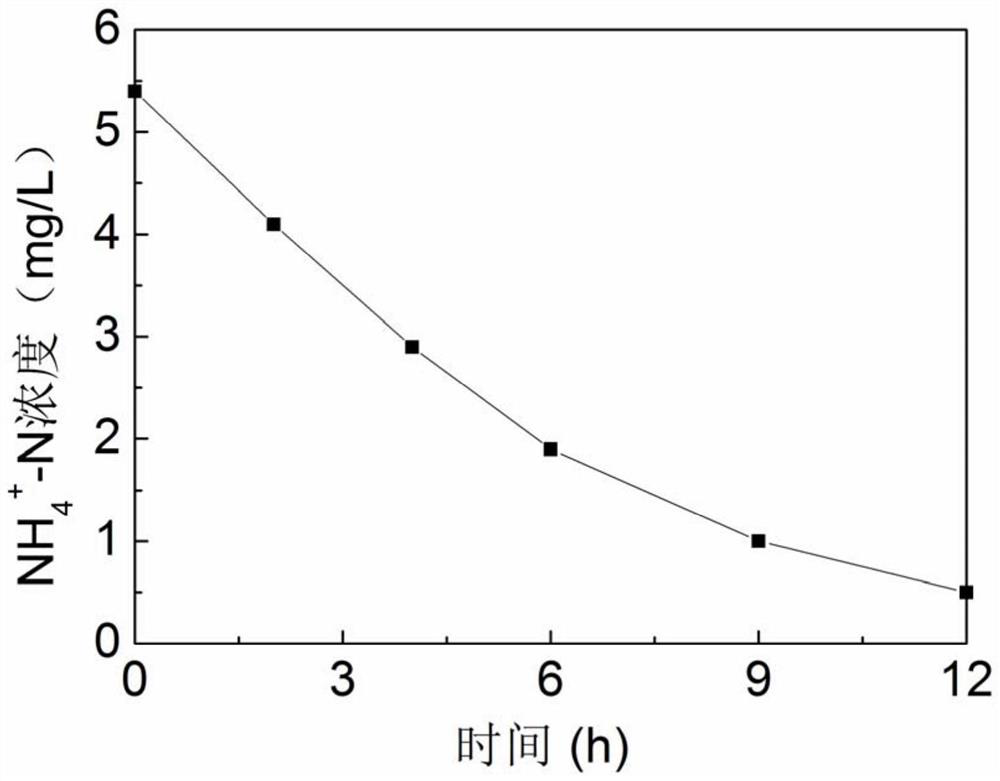 Submerged electrochemical in-situ nutrient enrichment device and method for removing nutrient salt from surface water