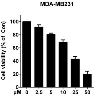 Application of 5,7-dibromo-8-(methoxymethoxy)-2-methylquinoline or its medicinal salt in treating breast cancer