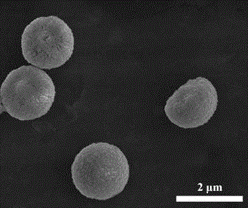 Preparation method of ZnO semispherical micro-nanostructure and obtained product