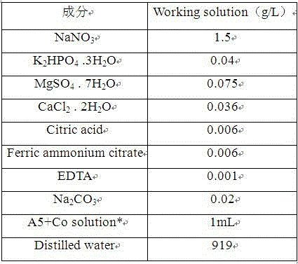 Highly oil-containing monoraphidium and culture and application thereof