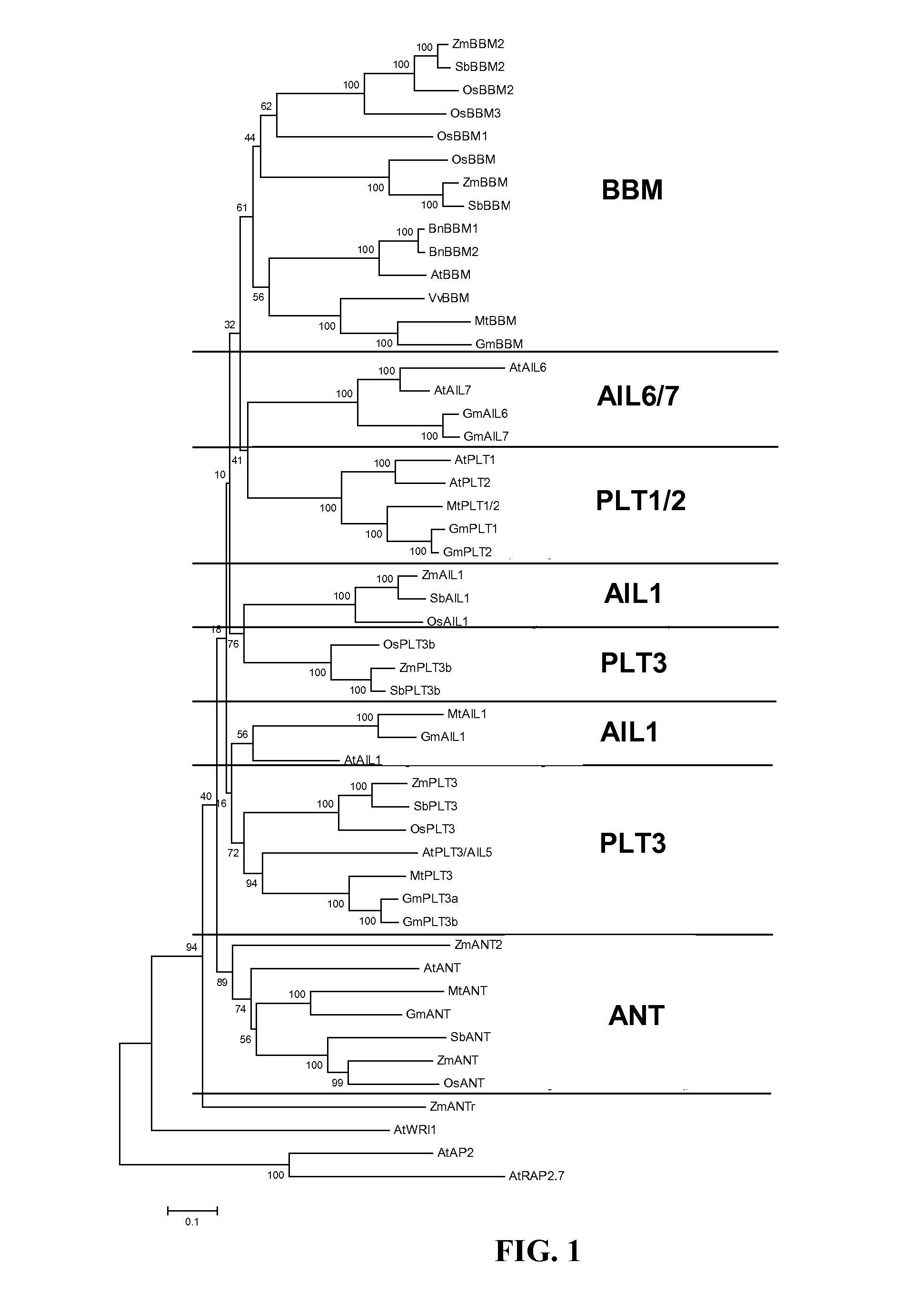 Methods and compositions for the introduction and regulated expression of genes in plants