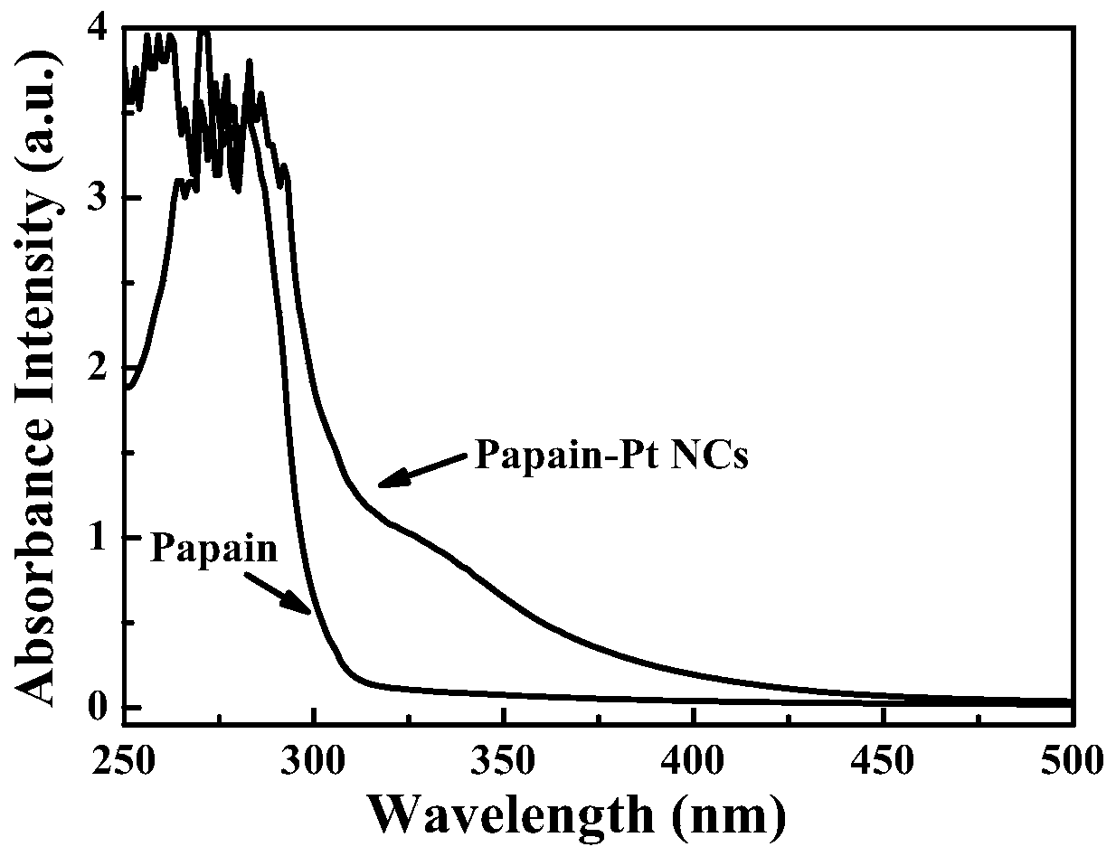Fluorescent platinum nano-cluster based on papain as template and preparation method and application of fluorescent platinum nano-cluster