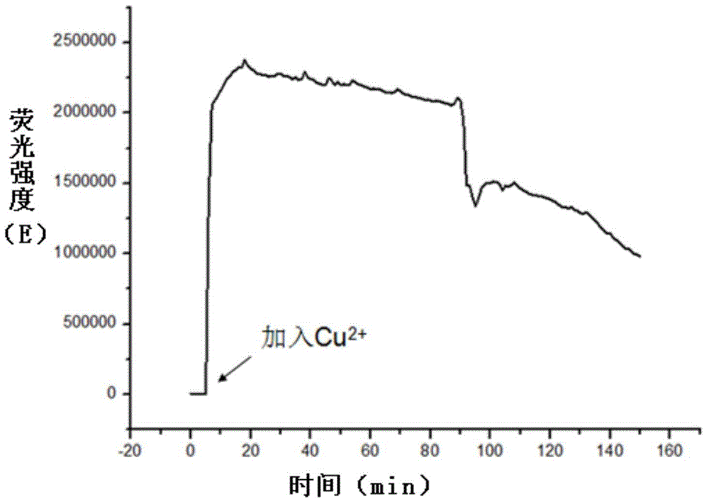 Polythymine template, fluorescent copper nano-cluster based on same, preparation method of fluorescent copper nano-cluster and ATP detection method