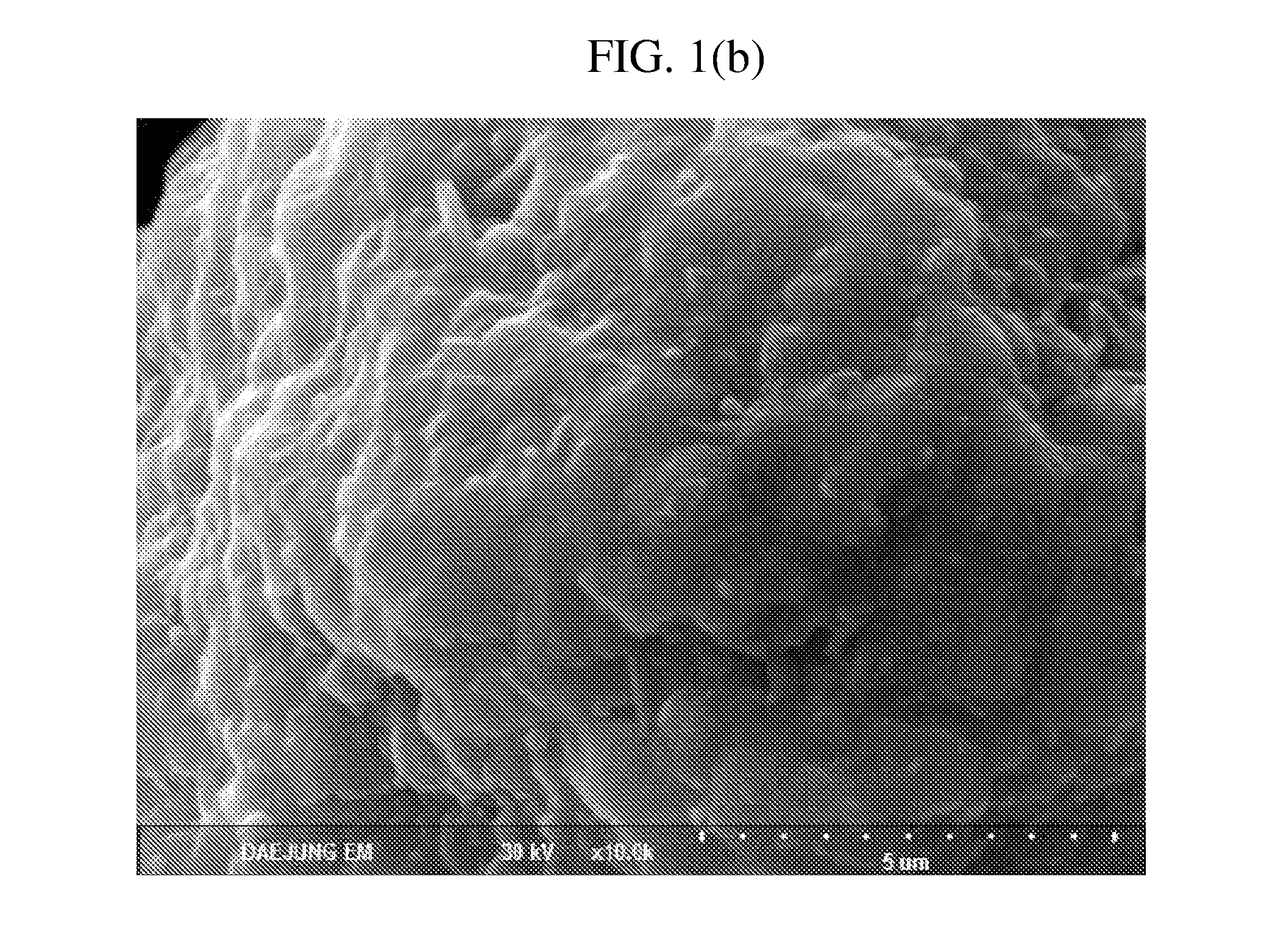 Cathode active material for lithium secondary batteries, method for preparing the same, and lithium secondary batteries comprising the same