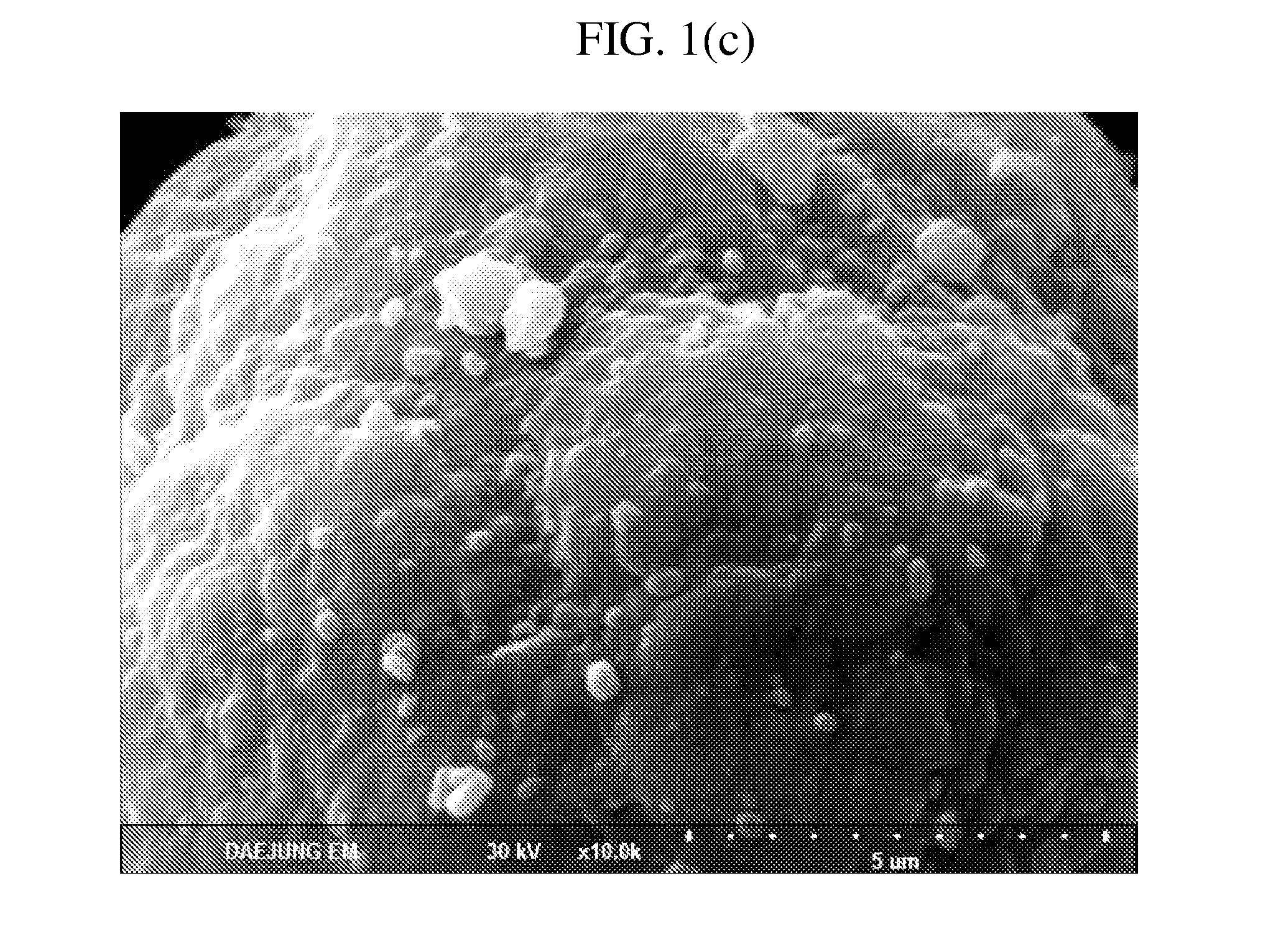 Cathode active material for lithium secondary batteries, method for preparing the same, and lithium secondary batteries comprising the same