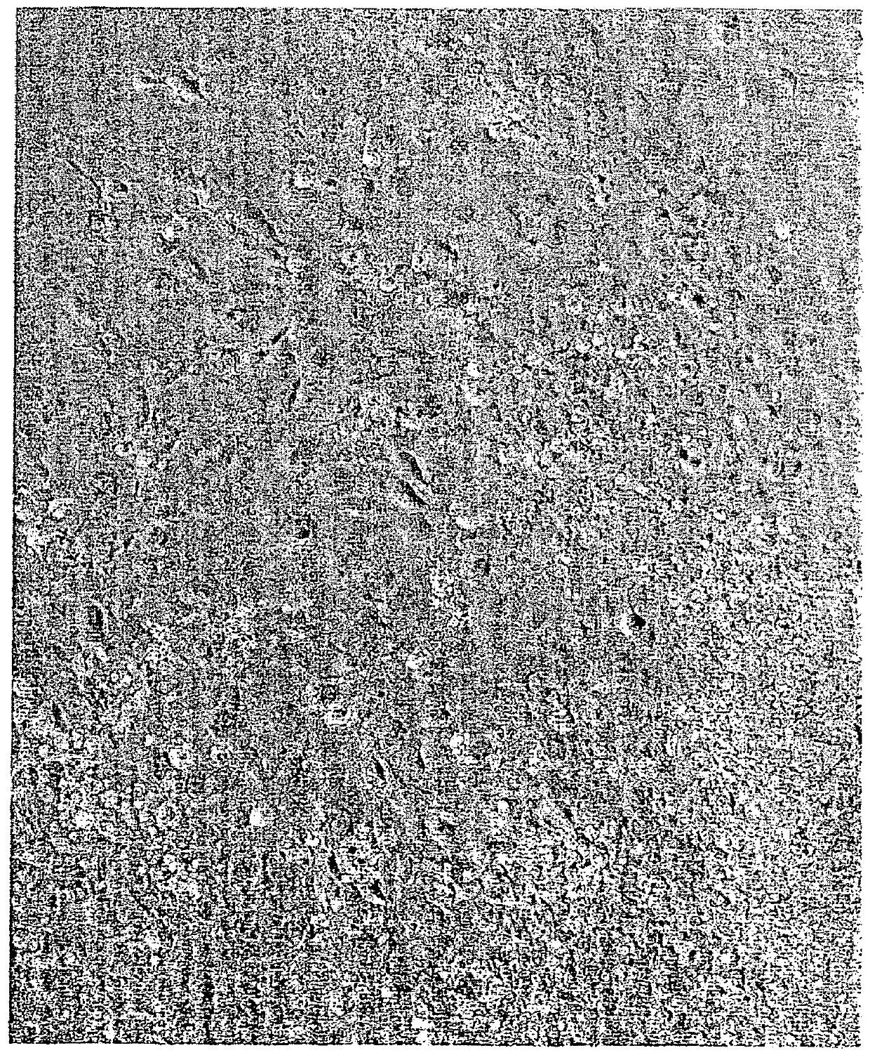 Differentiating ES cells using a tenascin