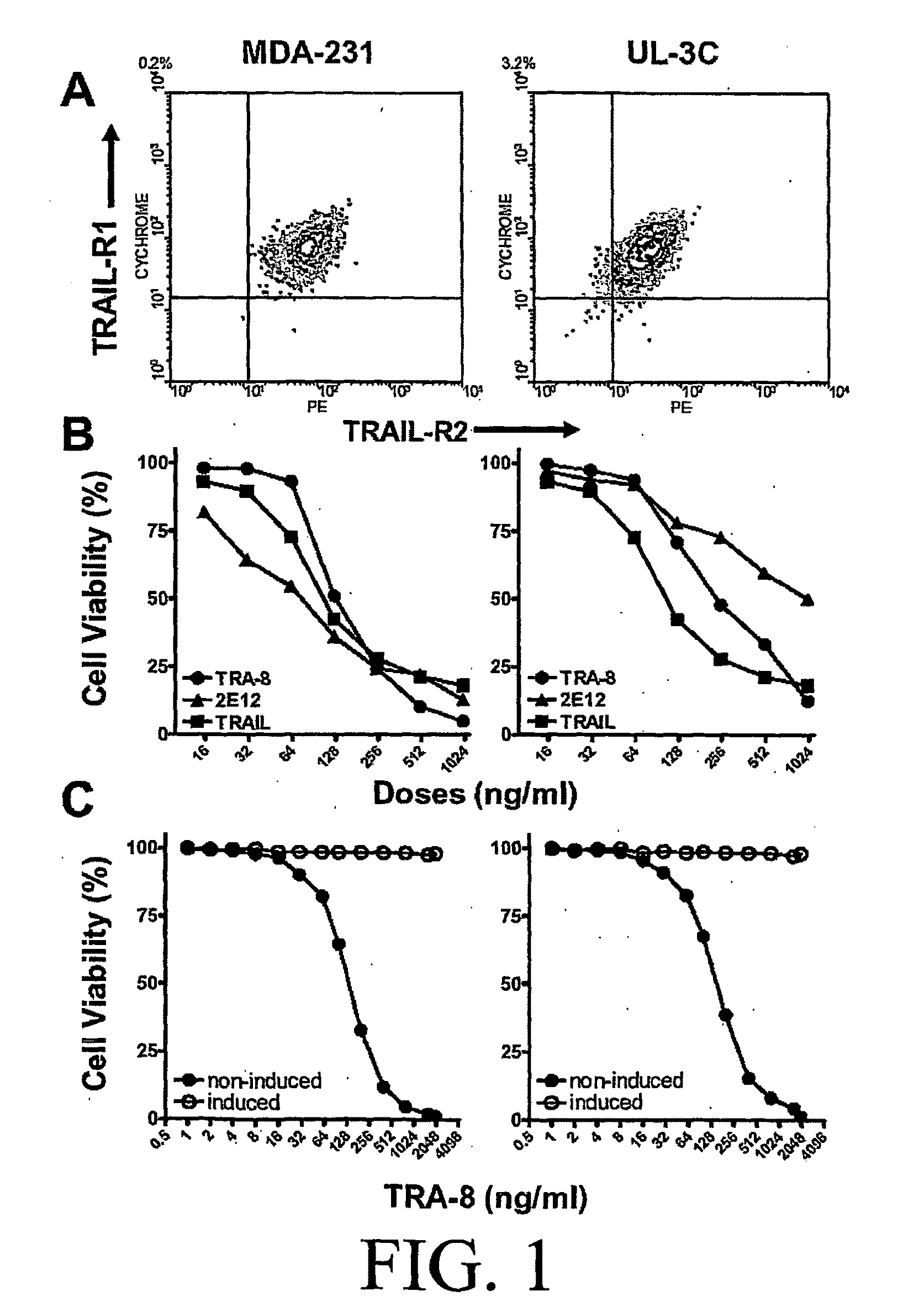 Agents and Methods Related to Reducing Resistance To Apoptosis-Inducing Death Receptor Agonists