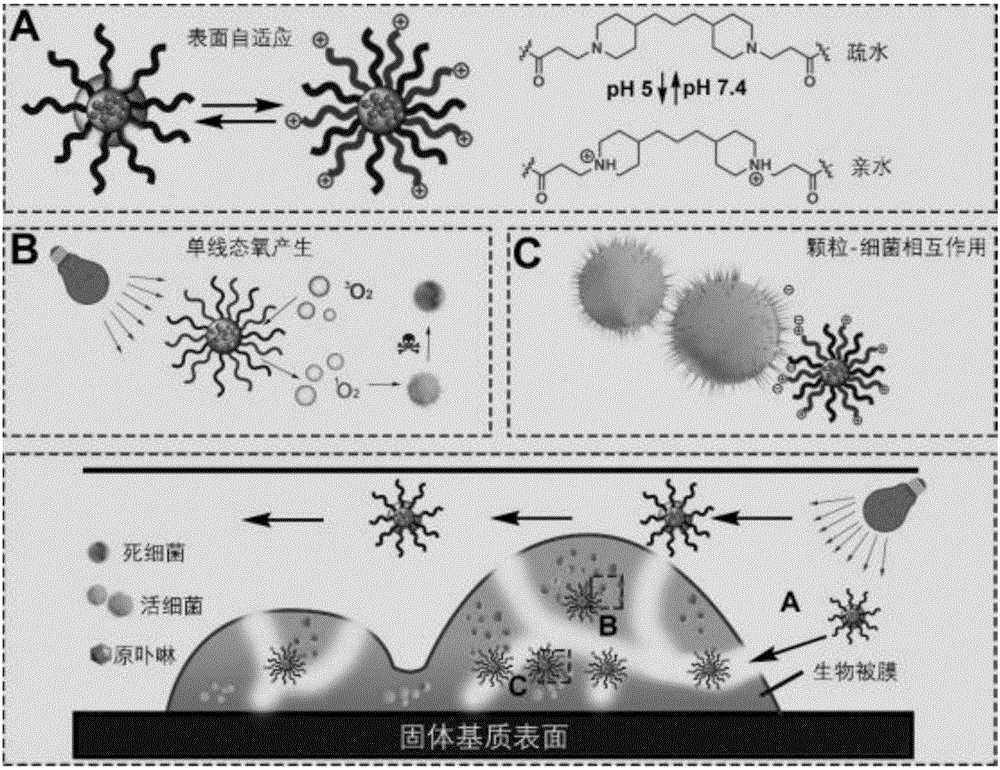 Preparation method of photosensitizer-supported polymeric micelle and application of micelle in killing of planktobacteria and bacterial biofilms
