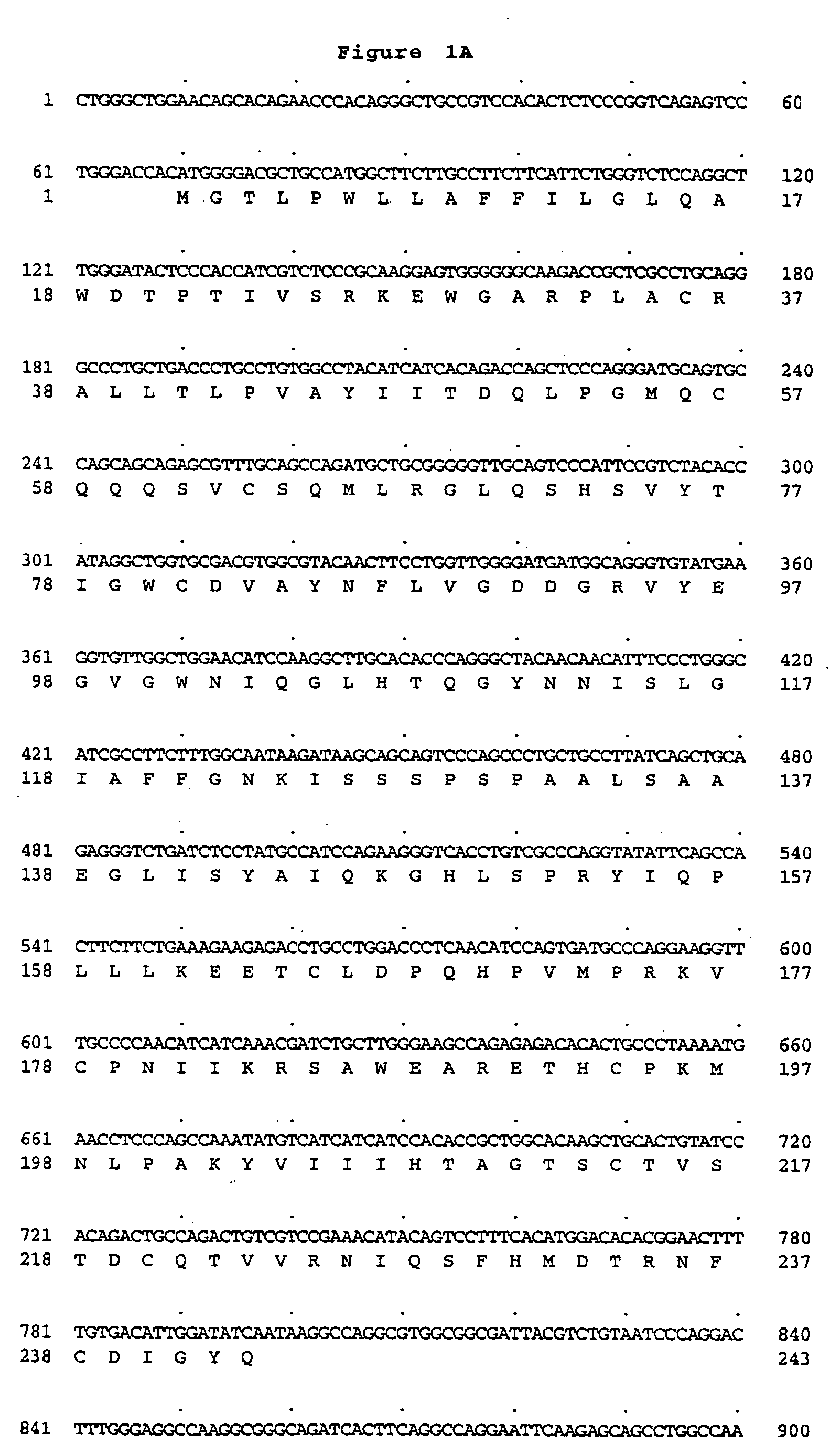 Peptidoglycan recognition proteins