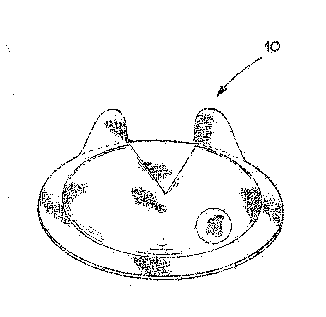 Sole support pad for hoofed animals and process for producing the same