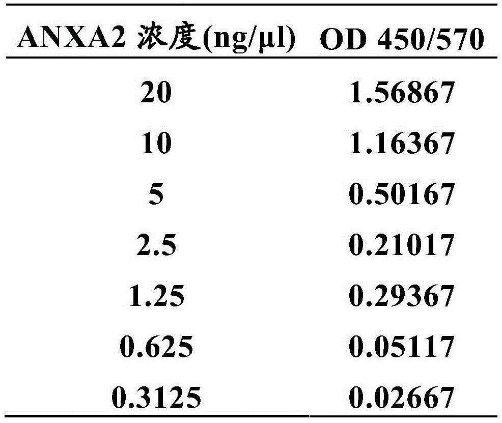 Blood serum detection method of annexin A2 as well as detection kit and application thereof