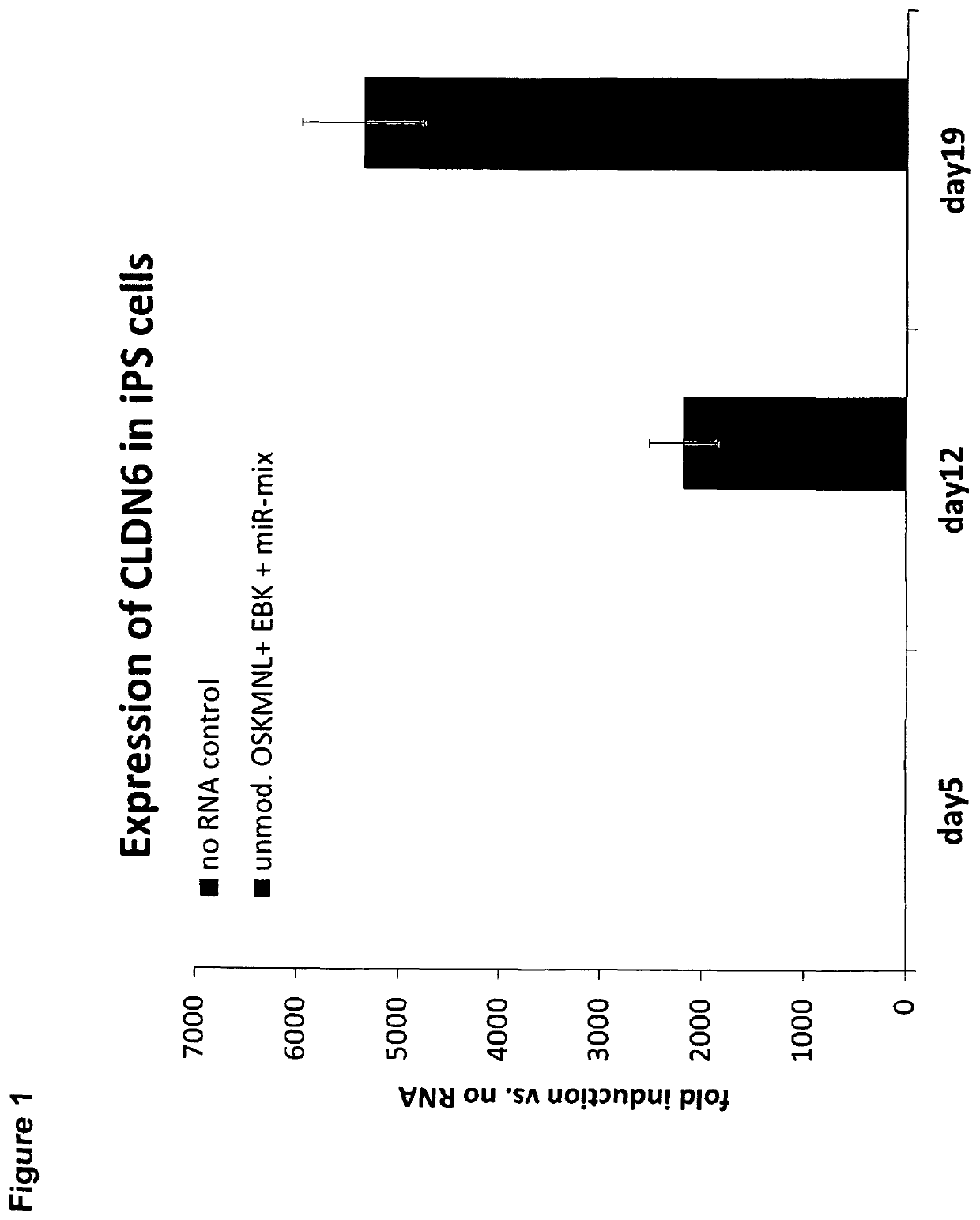 Diagnosis and therapy of cancer involving cancer stem cells