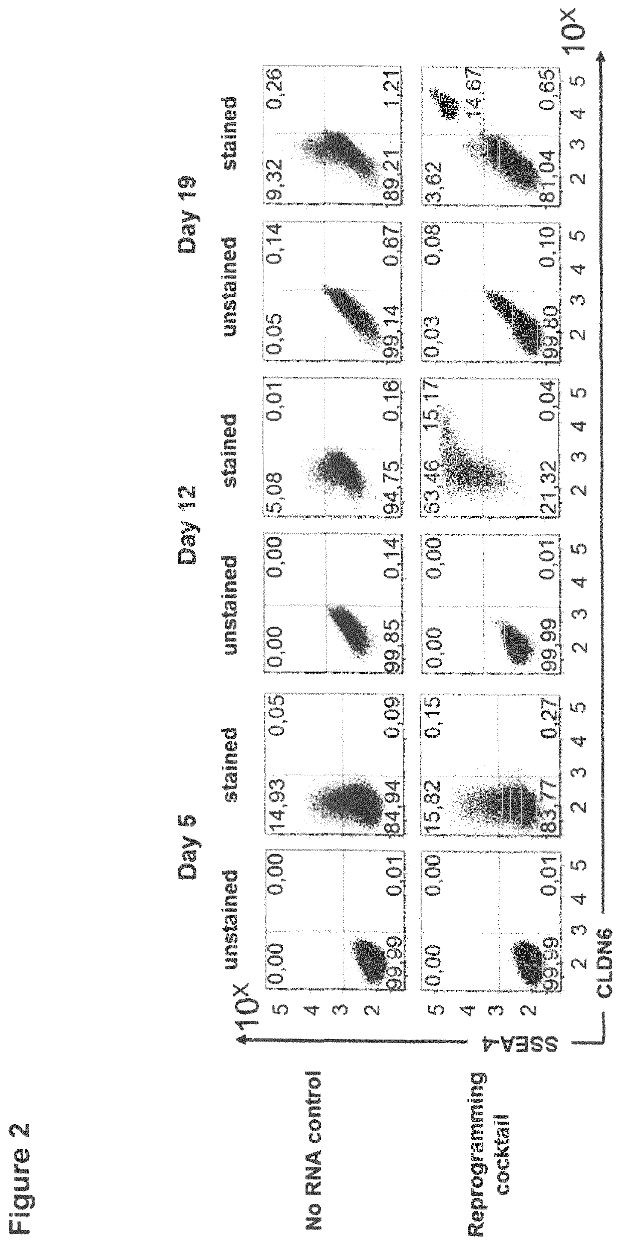 Diagnosis and therapy of cancer involving cancer stem cells