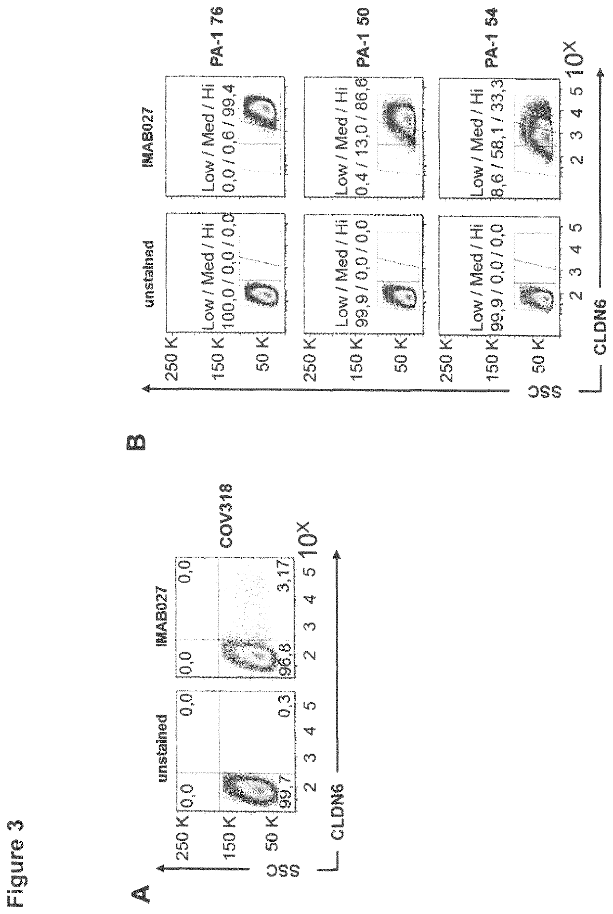 Diagnosis and therapy of cancer involving cancer stem cells