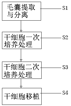 Technical method for in-vitro culture of melanocyte stem cells for treating leucoderma