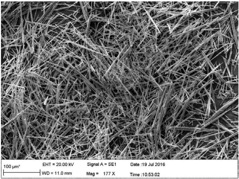 Method for preparing calcium sulfate whiskers from sintering flue gas semidry method desulfurization ash based on acid oxidation