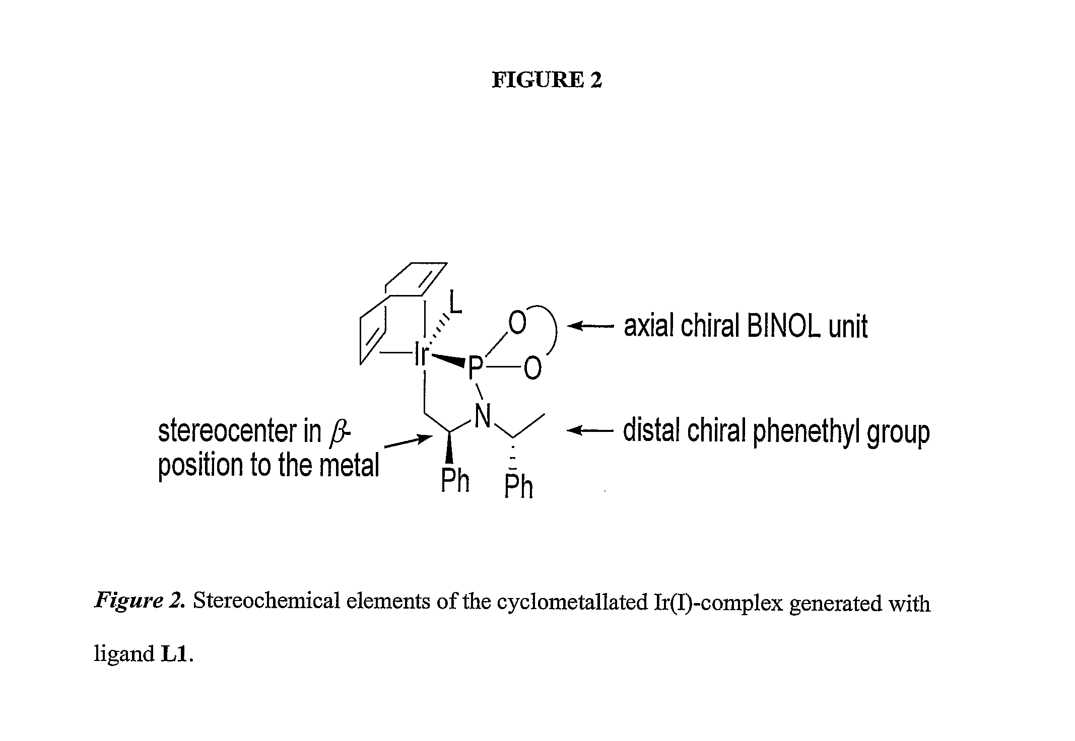 Enantioselective Phosphoramidite Compounds and Catalysts