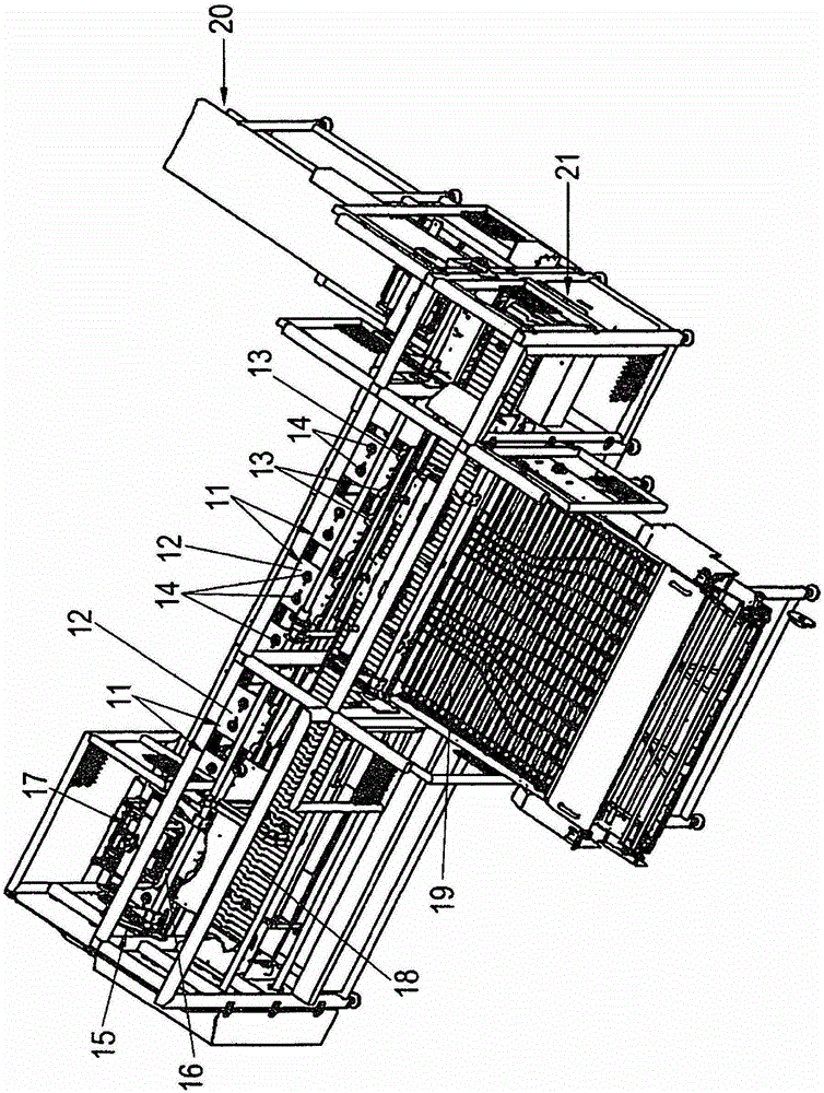 Device for the transport of stacks formed from opened egg packs, as well as a separation device for egg packs and a stacker for removing empty egg packs