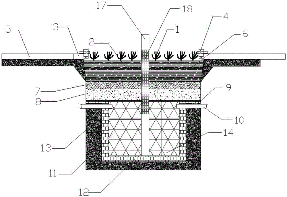 Source rainwater purification and storage system based on low impact development and installation method