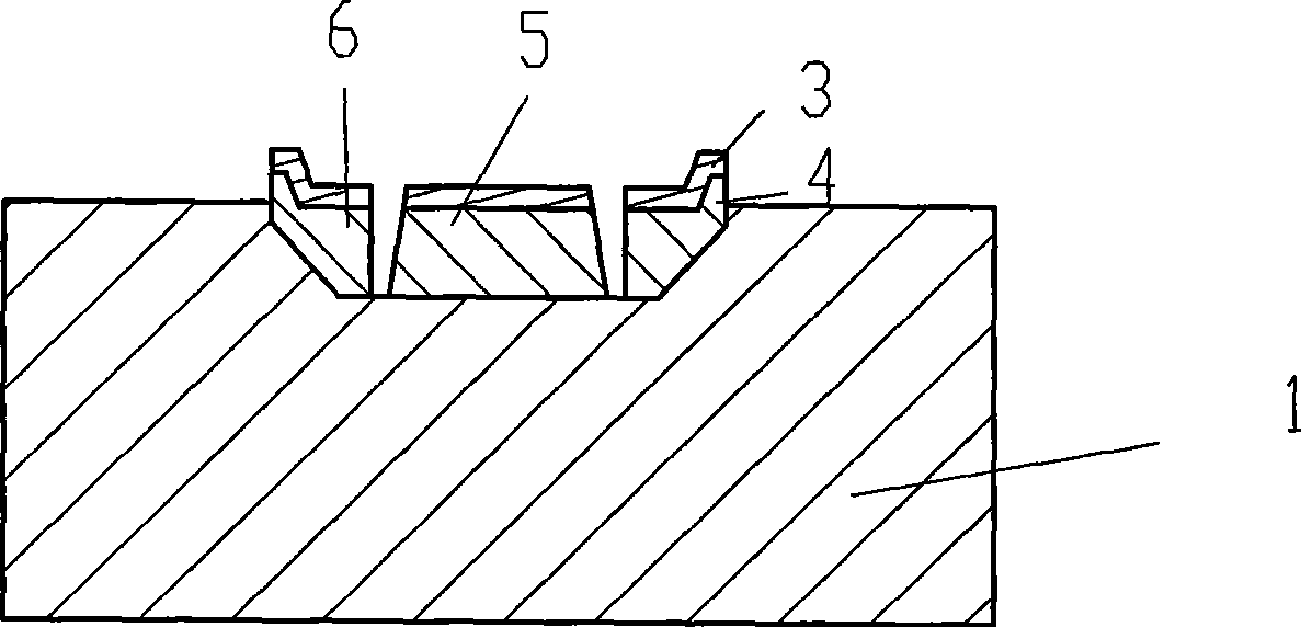 Single-slice integrated micro-lens and its production method