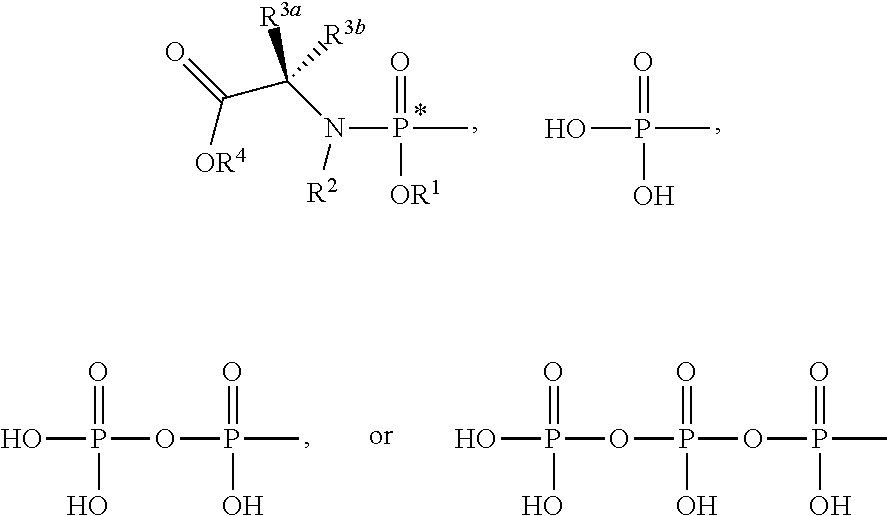 Nucleoside phosphoramidates