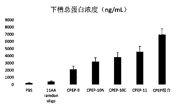 Cell infiltration enhancing peptide, composition and application of composition