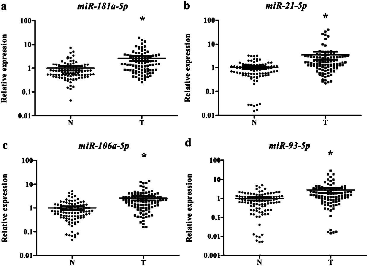 Serum miRNA marker related to squamous cell lung carcinoma auxiliary diagnosis, and application thereof