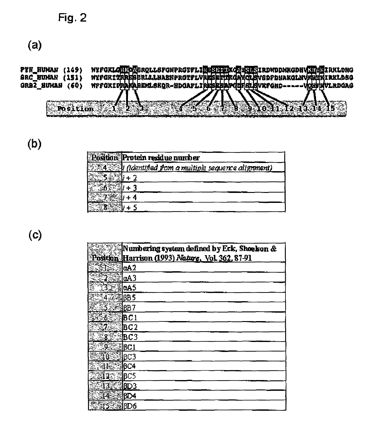 SH2 domain variants