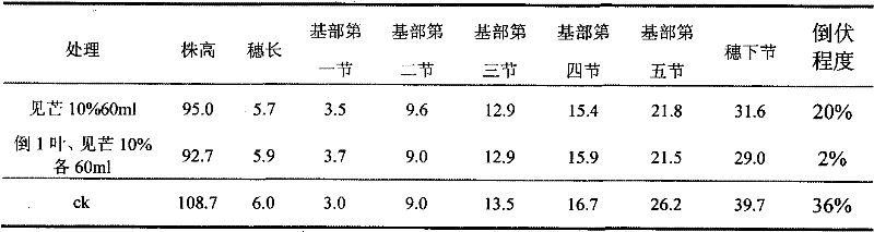 Method for controlling plant height of malting barley by using ethephon