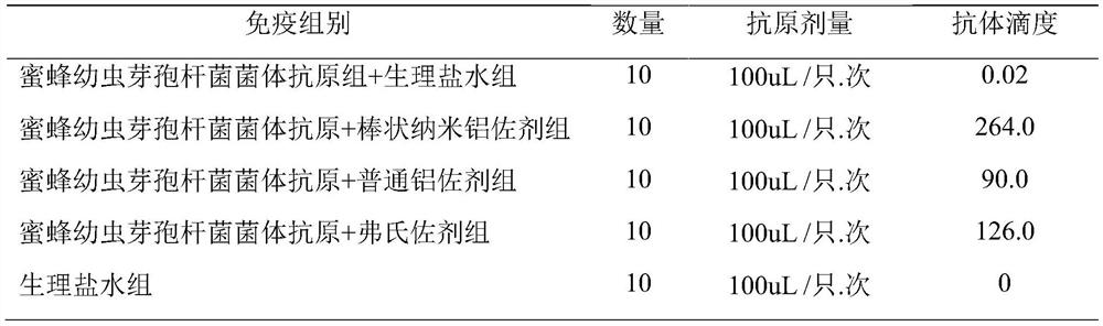 Anti-paenibacillus larvae yolk immunoglobulin and preparation method and use thereof