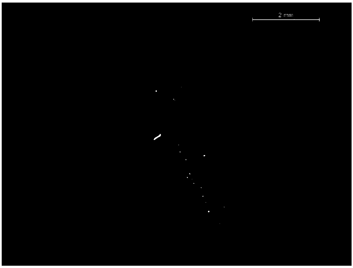 Culture medium and method for inducing generation of macleaya cordata embryoid callus